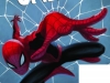 fcbd-spider-man