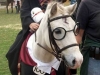 horses-dressed-as-harry-potter