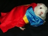 super-hamster